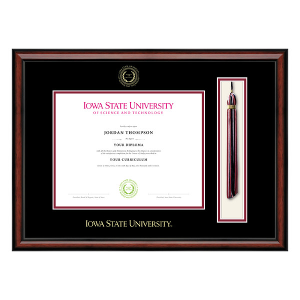 Bachelor's Diploma Frames
