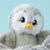 Pax the Penguin