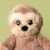 Sawyer the Sloth