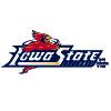 Spirit Collection Cyclones Word Mark 1 (1995)