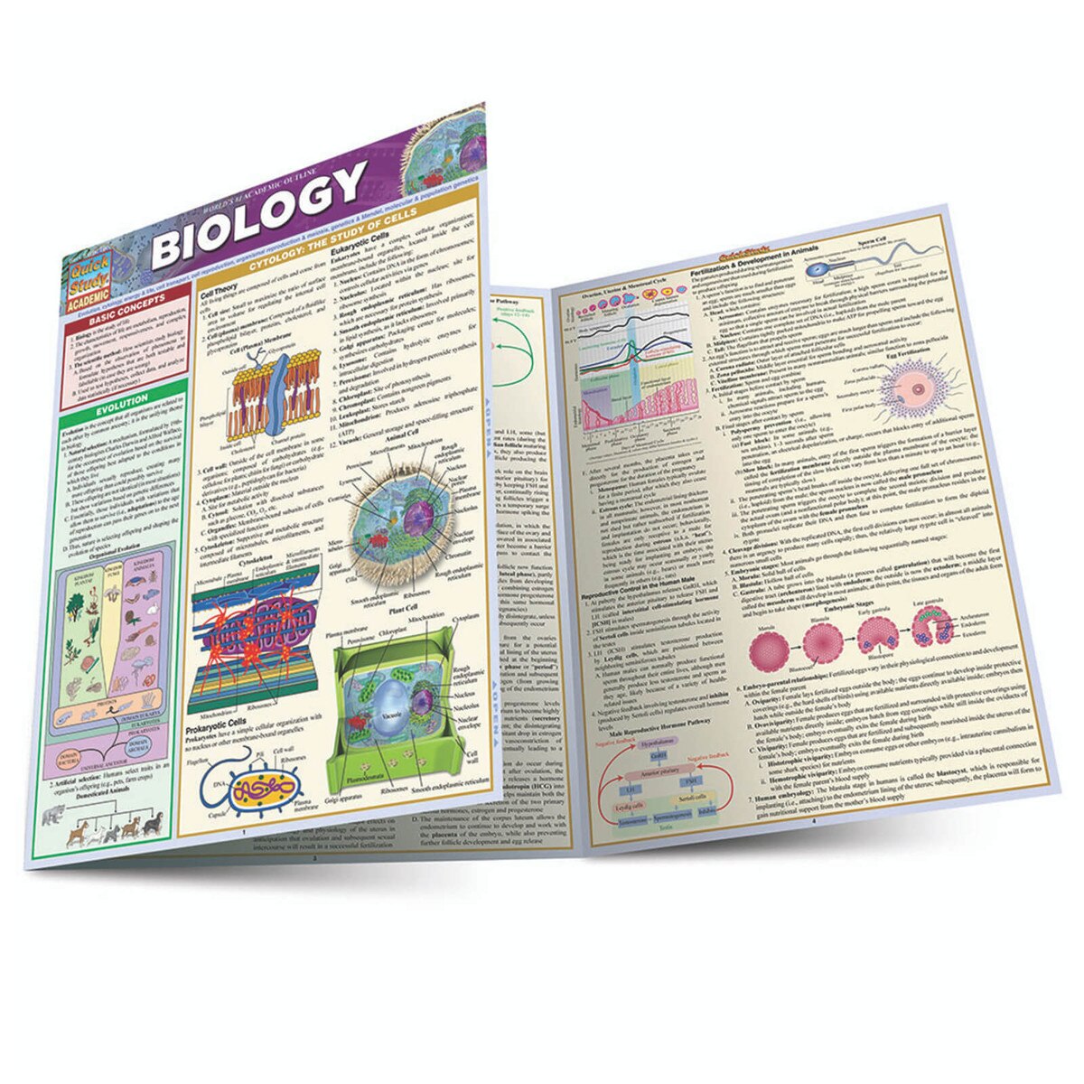 Biology - Quick Study Guide | ISU Book Store