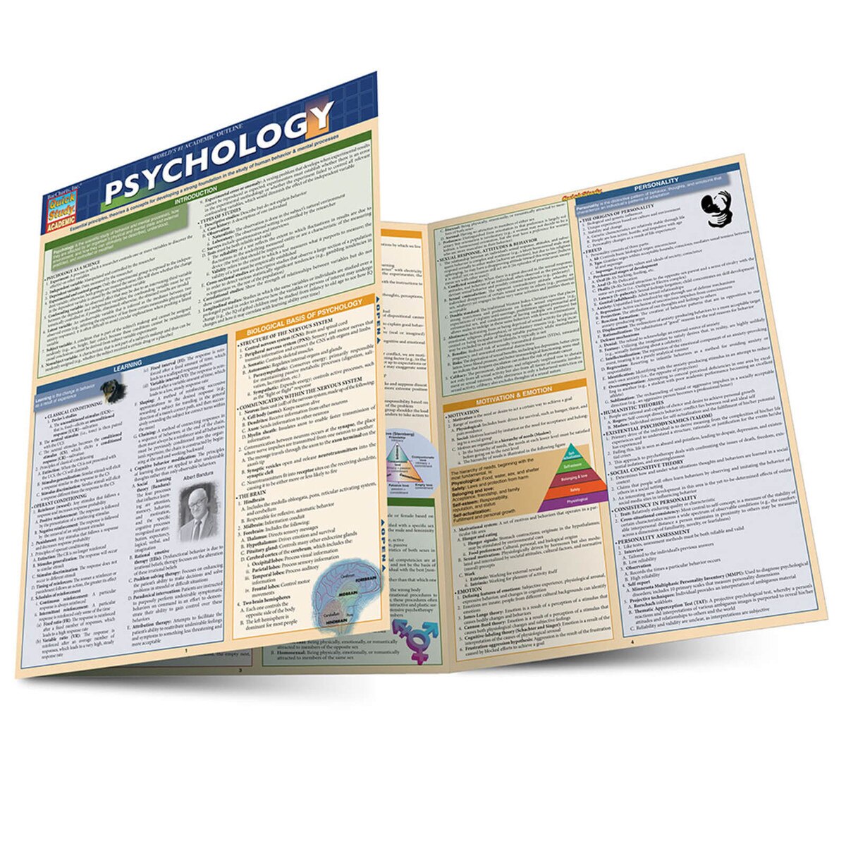 Psychology - Quick Study Guide