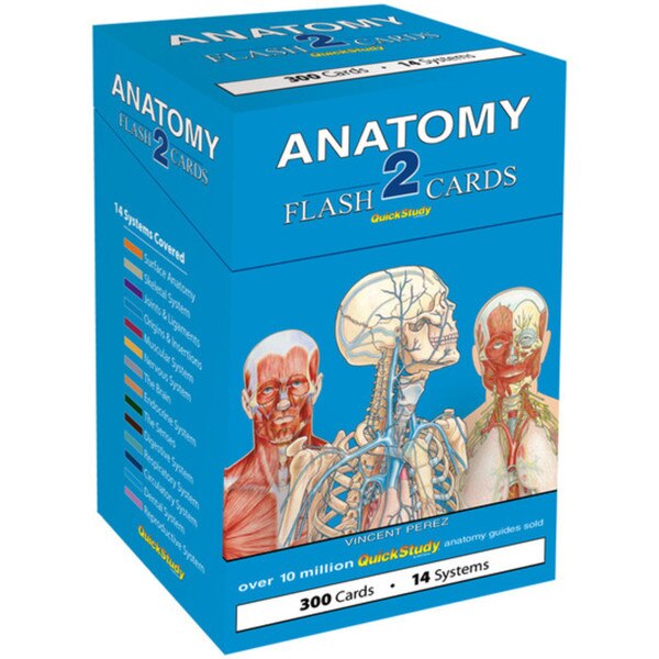 Anatomy 2 Flash Cards