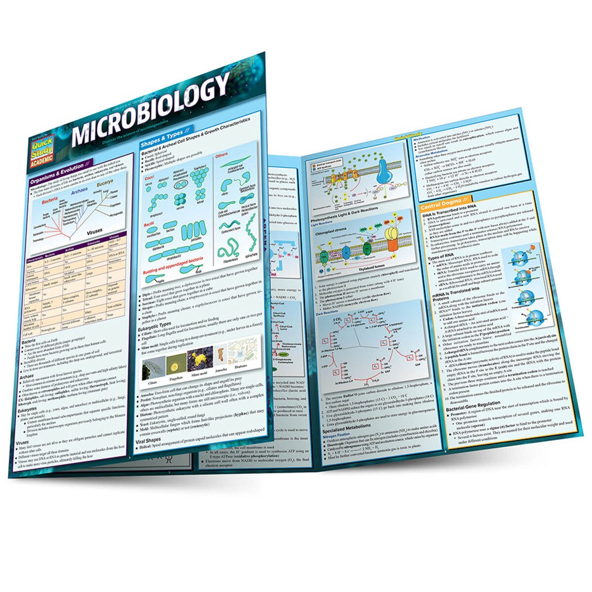 Microbiology - Quick Study Guide | ISU Book Store