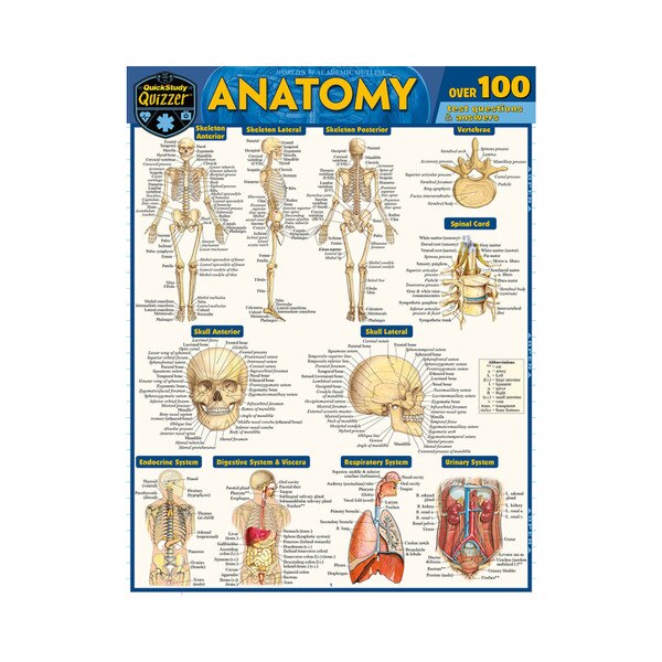 Anatomy Quizzer - Quick Study Guide | ISU Book Store