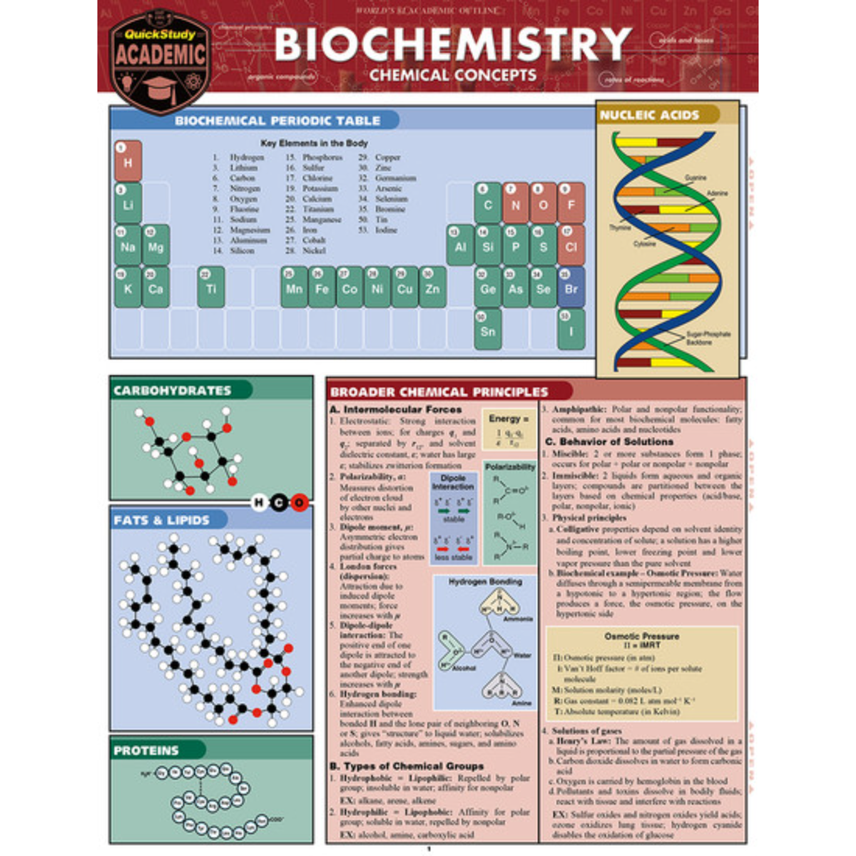Biochemistry - Quick Study Guide