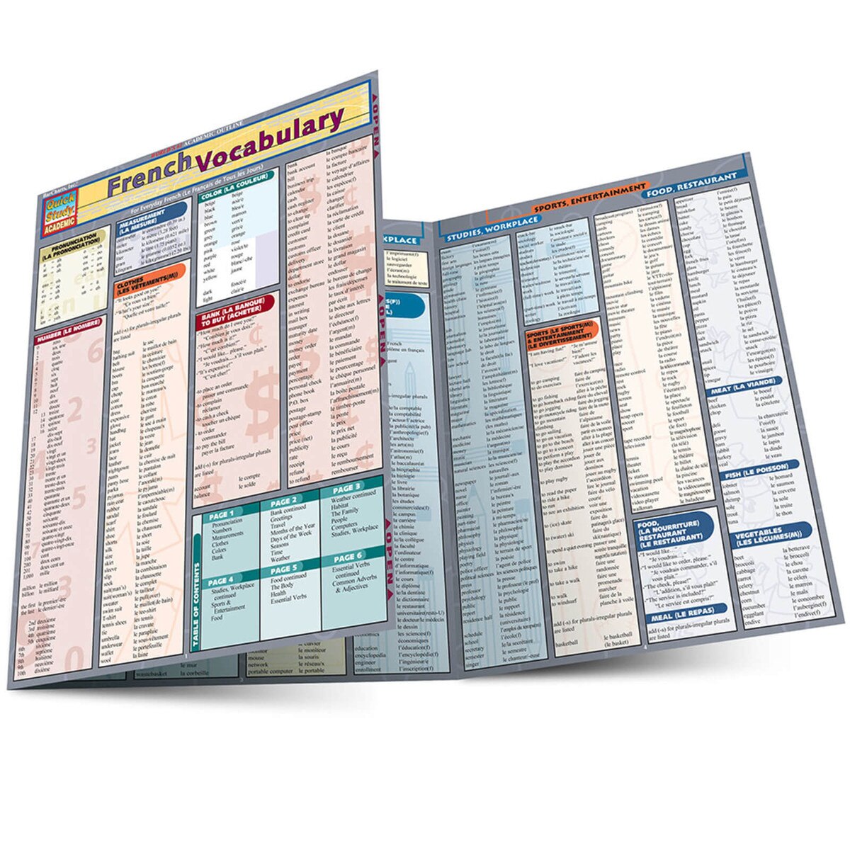 French Vocabulary Quick Study Guide
