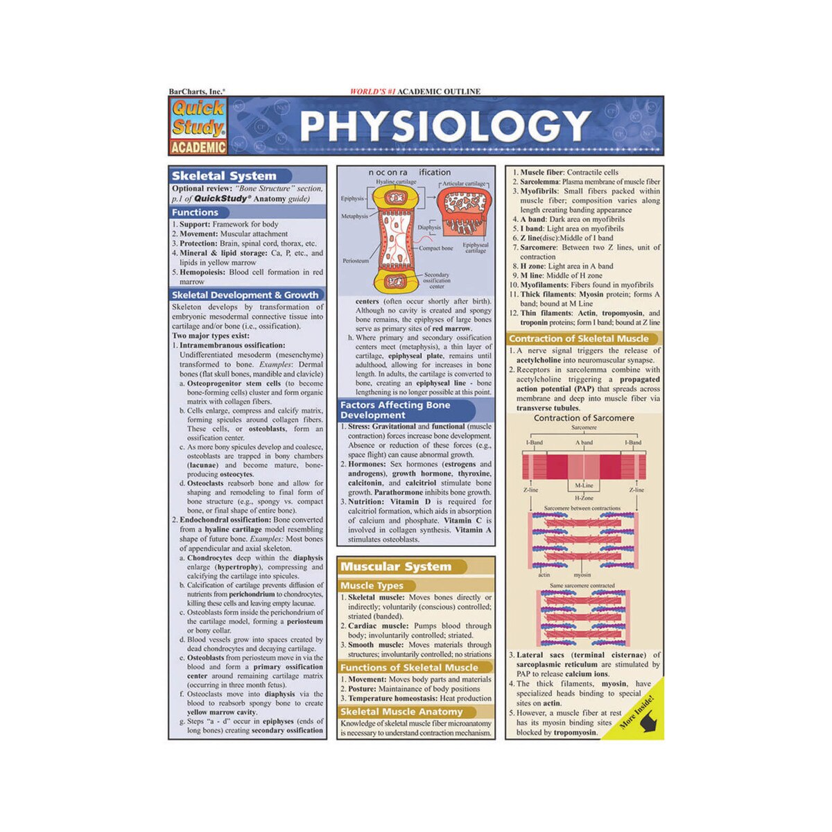 Psychology Quick Study Guide