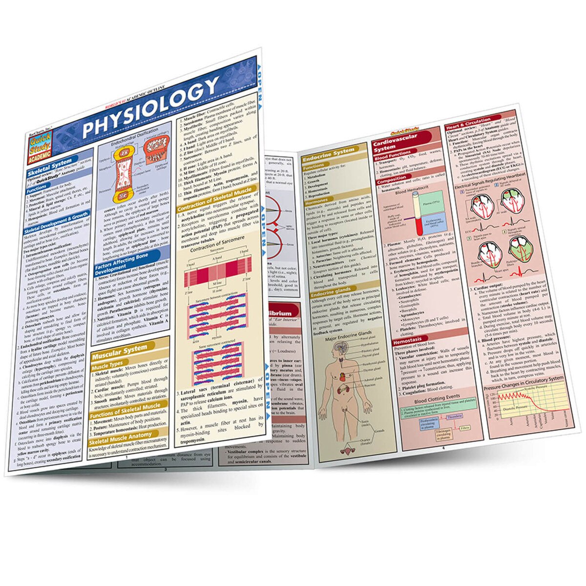 Psychology Quick Study Guide