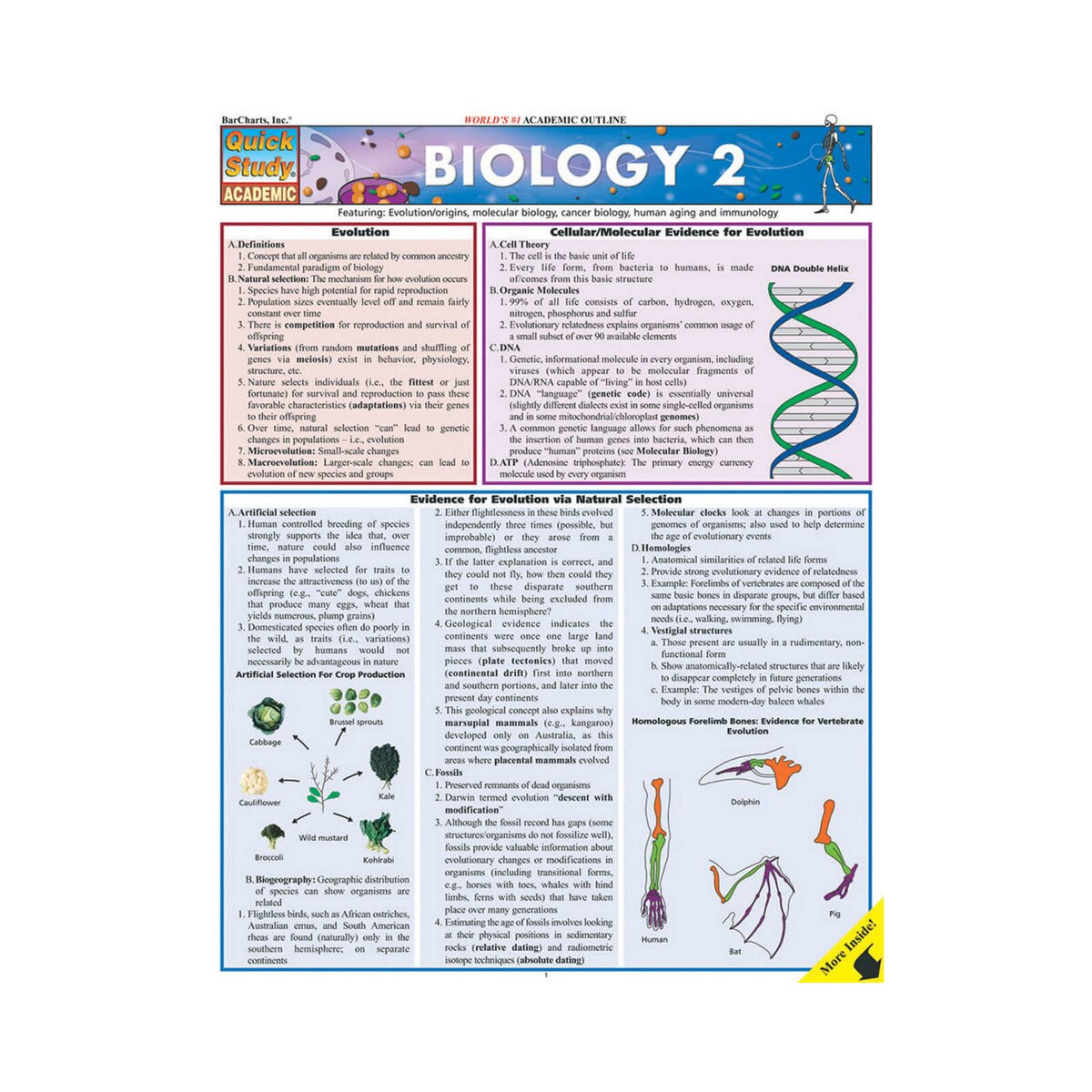 Biology 2 Quick Study Guide