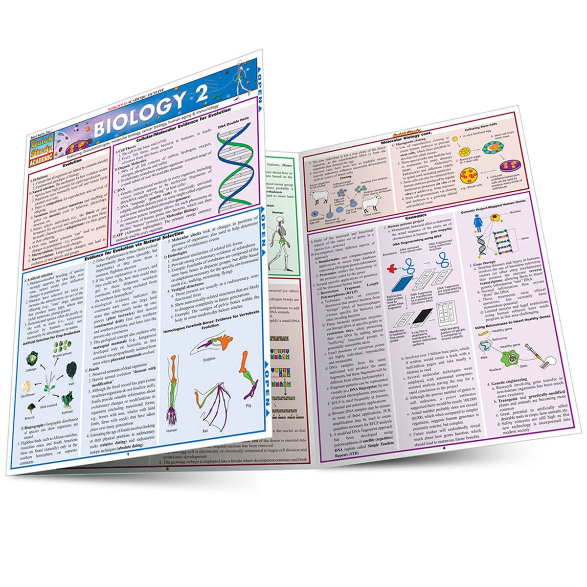 Biology 2 Quick Study Guide
