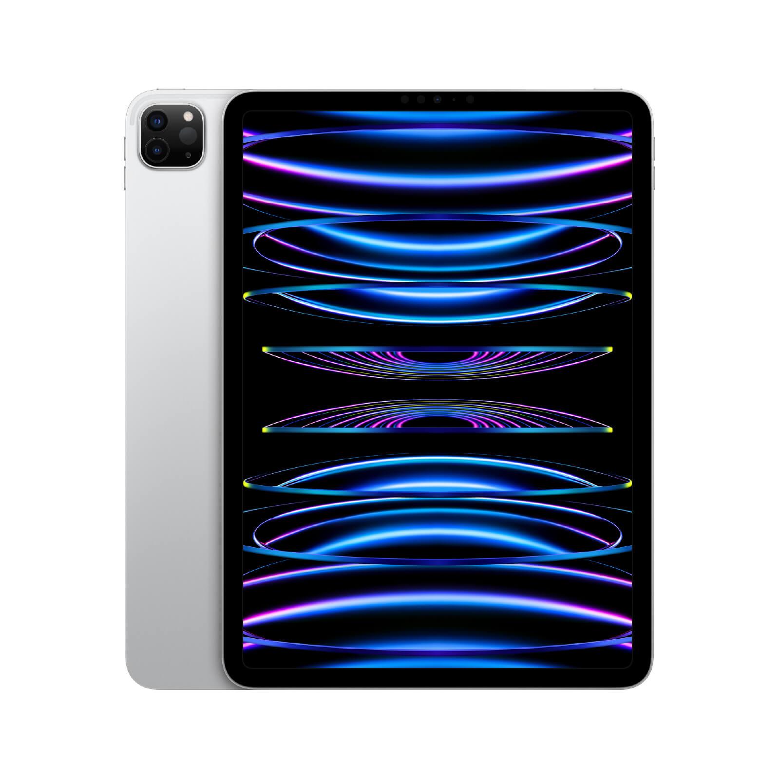 Apple iPad Pro 11 inch 4th - iPad本体